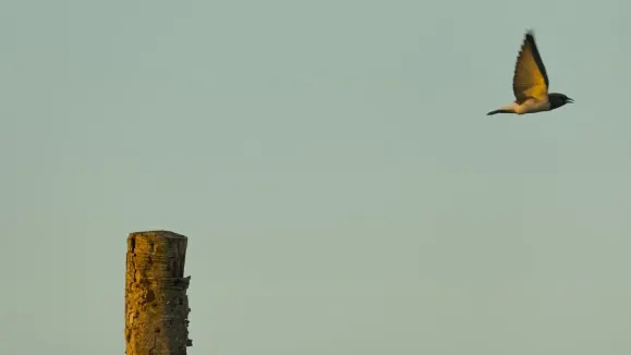 엘오오티 카지노 지원